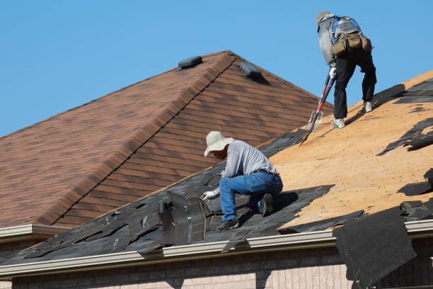 Roof Moss and Algae Removal in Affton, MO