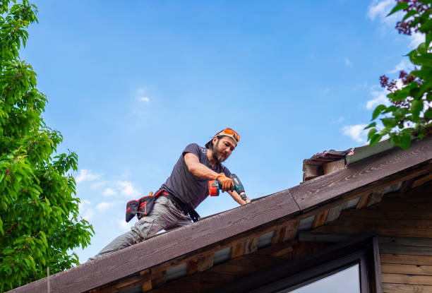 Best Metal Roofing Installation  in Affton, MO